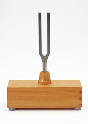 レンタル出来る分銅メリットもあります